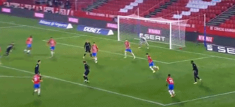 弗兰克：克罗地亚队成功的原因是团结；我曾看着魔笛比赛长大